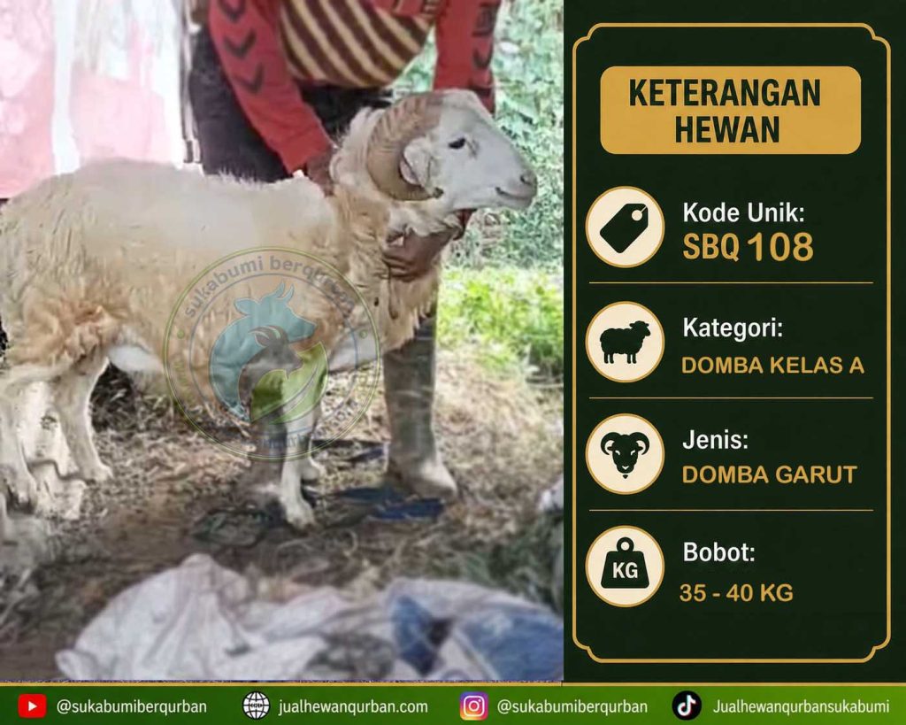 hewan qurban sukabumi
