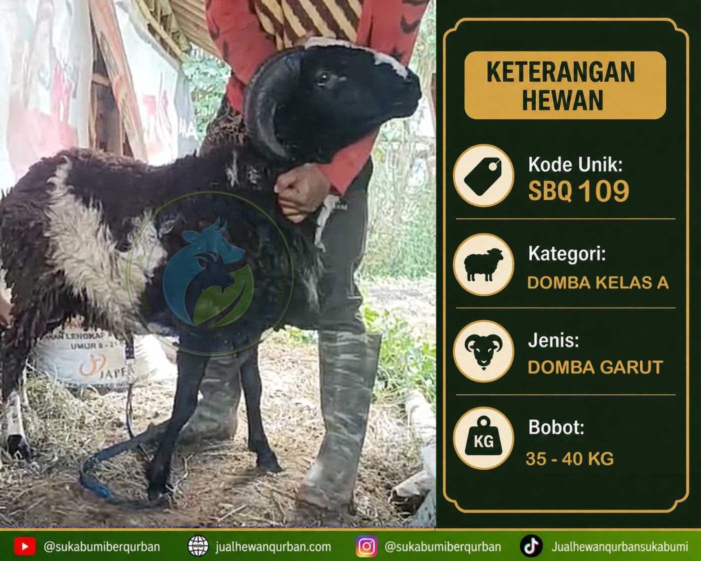 hewan qurban sukabumi
