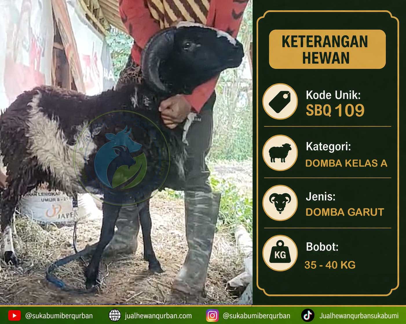hewan qurban sukabumi