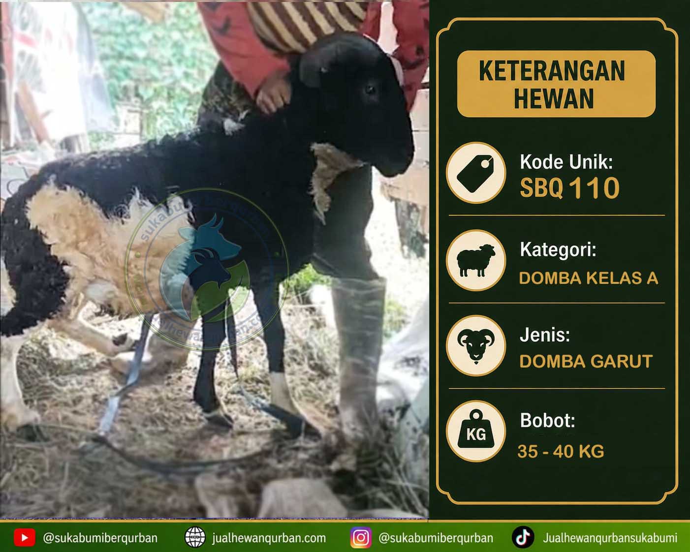 hewan qurban sukabumi