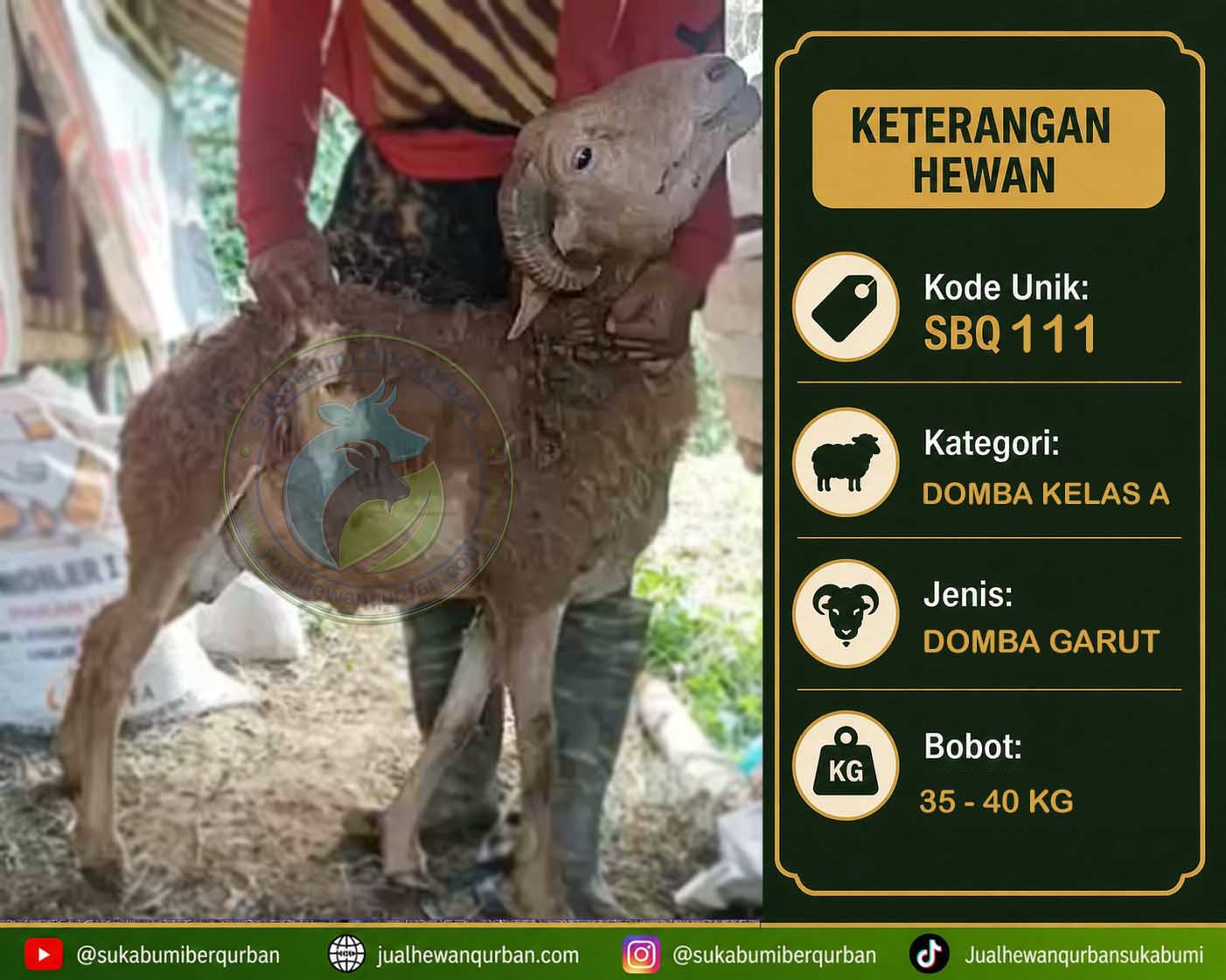 hewan qurban sukabumi