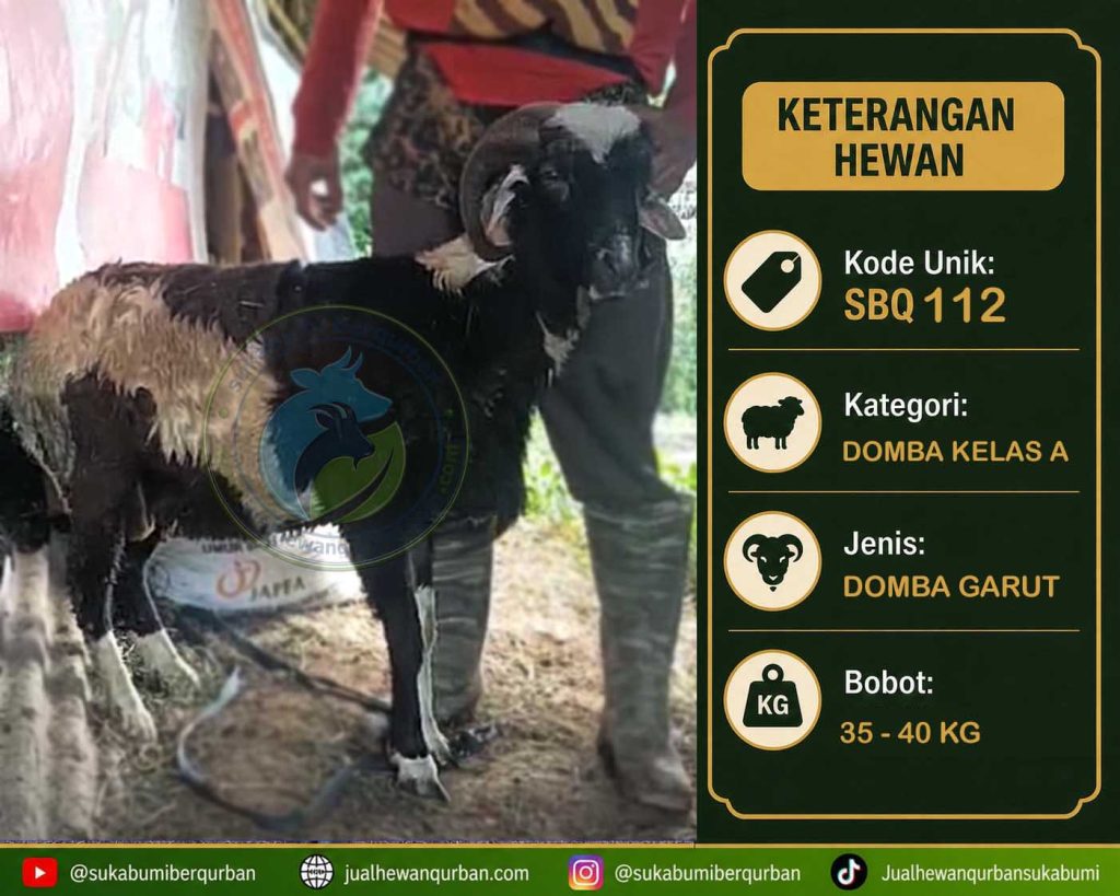 hewan qurban sukabumi
