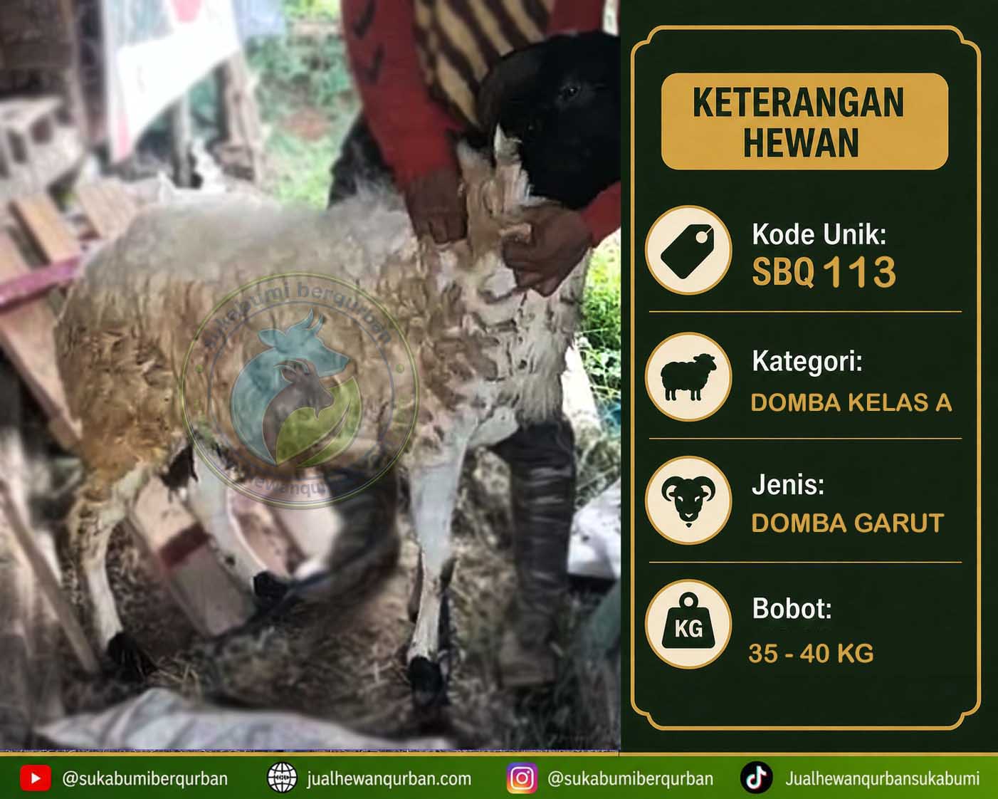 hewan qurban sukabumi