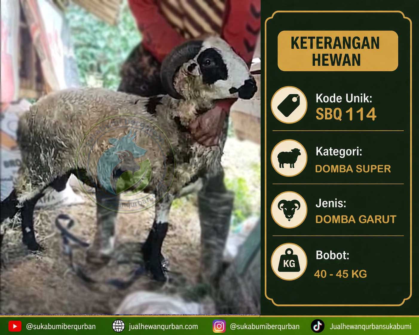 hewan qurban sukabumi