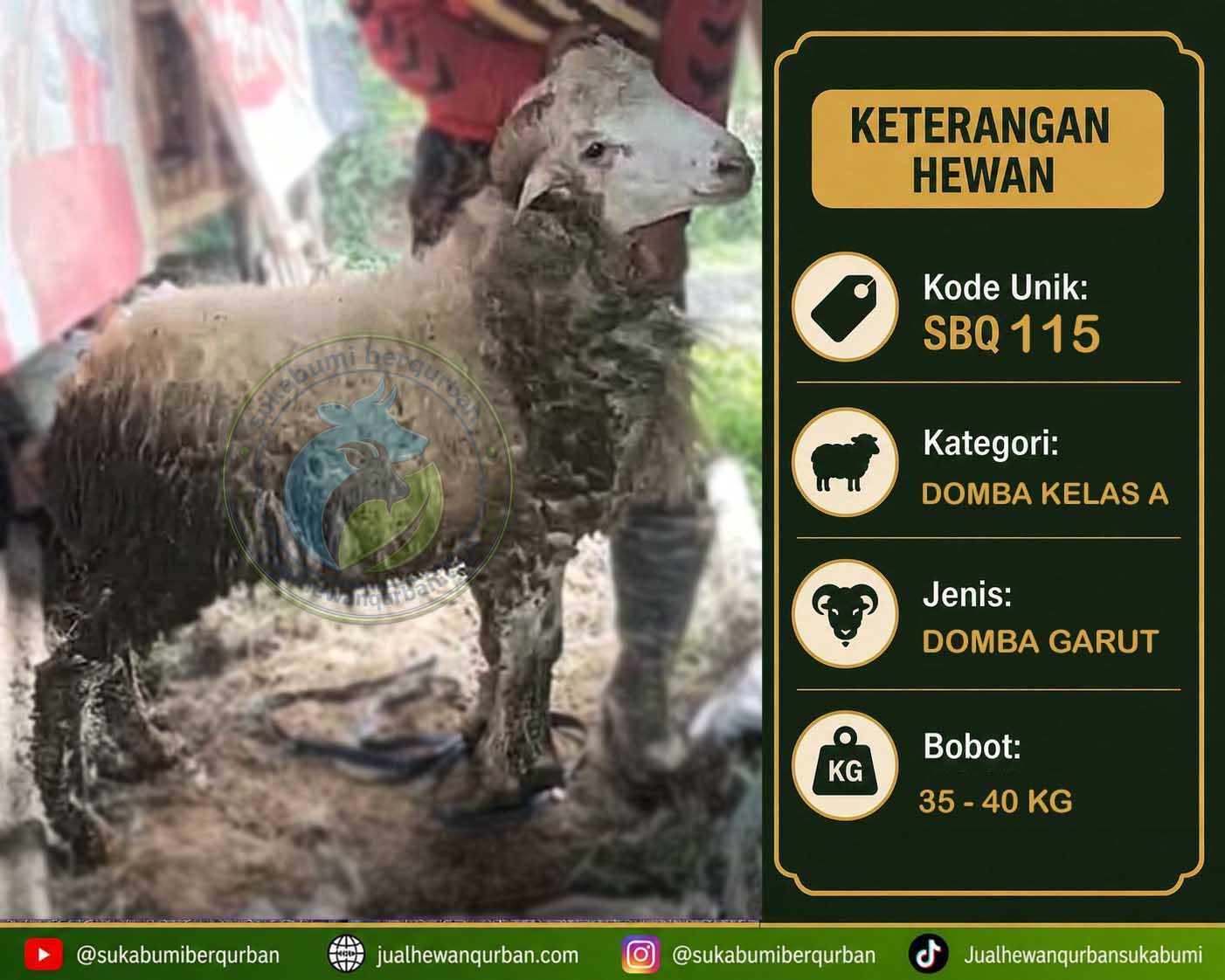 hewan qurban sukabumi