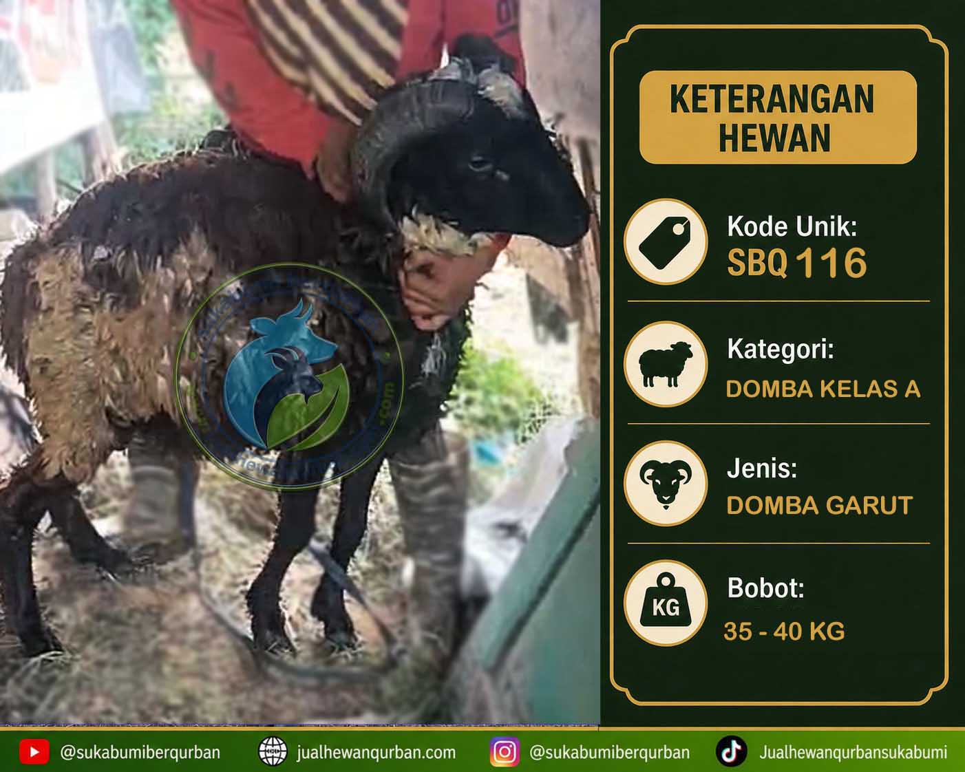 hewan qurban sukabumi