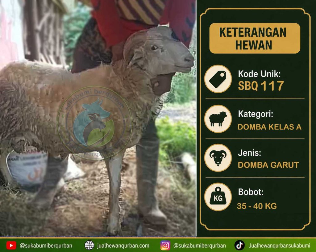 hewan qurban sukabumi