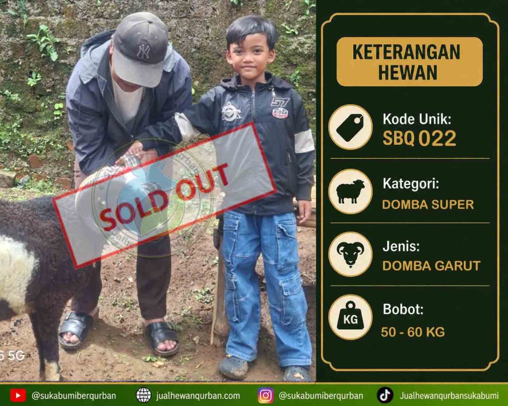 SOLD OUT