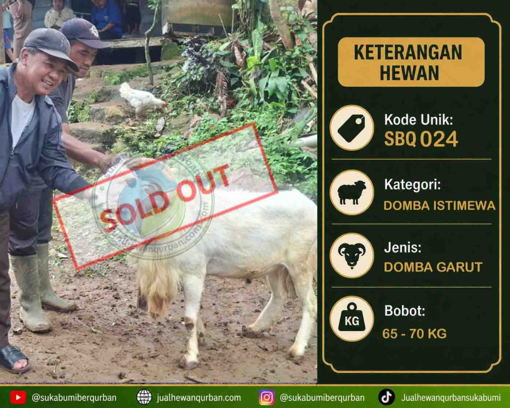 SOLD OUT 3