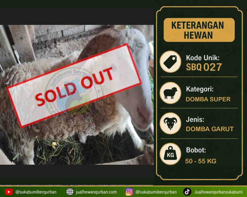 SOLD OUT DOMBA bpk rahmat