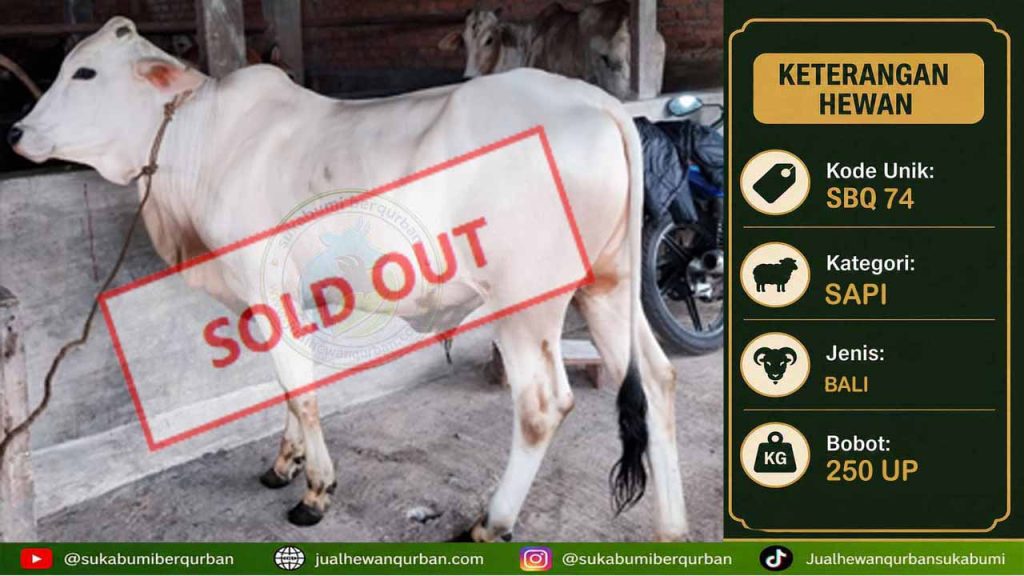 SOLDOUT SAPI 22 mei 2