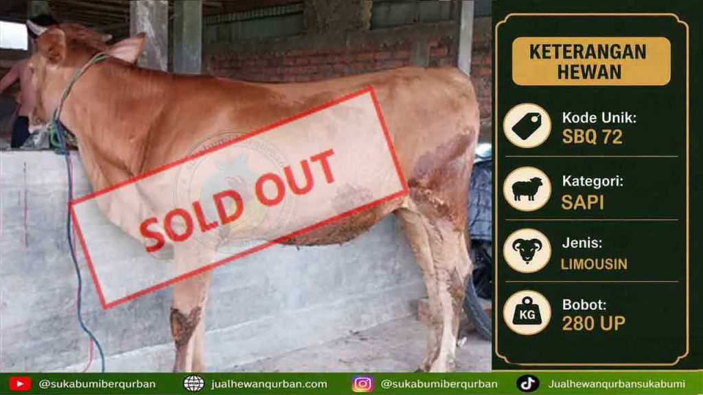 SOLDOUT SAPI 22 mei 3