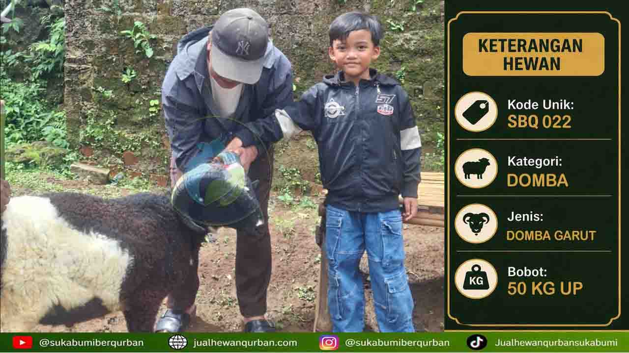 domba qurban sukabumi